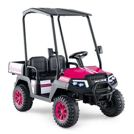 24V Kids Golf Cart 4WD 2-Seater Ride on Car with Storage Trunk and Horn-Black
