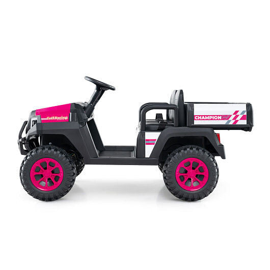 24V Kids Golf Cart 4WD 2-Seater Ride on Car with Storage Trunk and Horn-Black