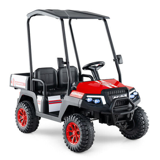 24V Kids Golf Cart 4WD 2-Seater Ride on Car with Storage Trunk and Horn-Black